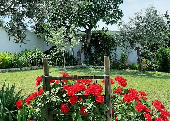 A Casa Francesa Casa vacanze *